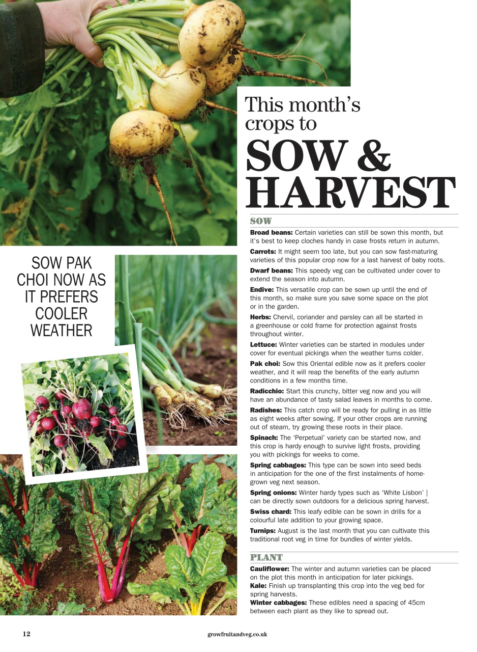 Grow Your Own Preview Pages