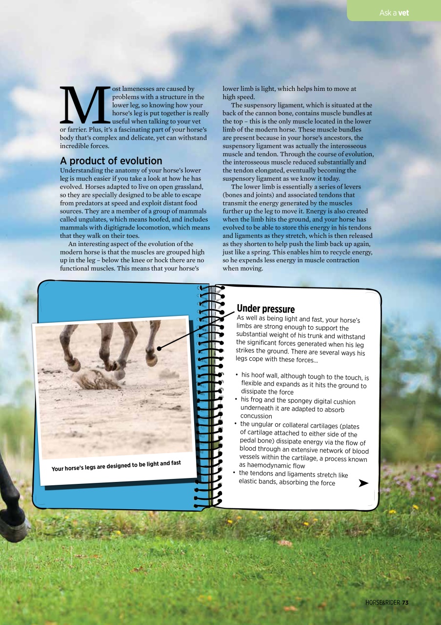 Horse&Rider Magazine - UK equestrian magazine for Horse and Rider Preview Pages