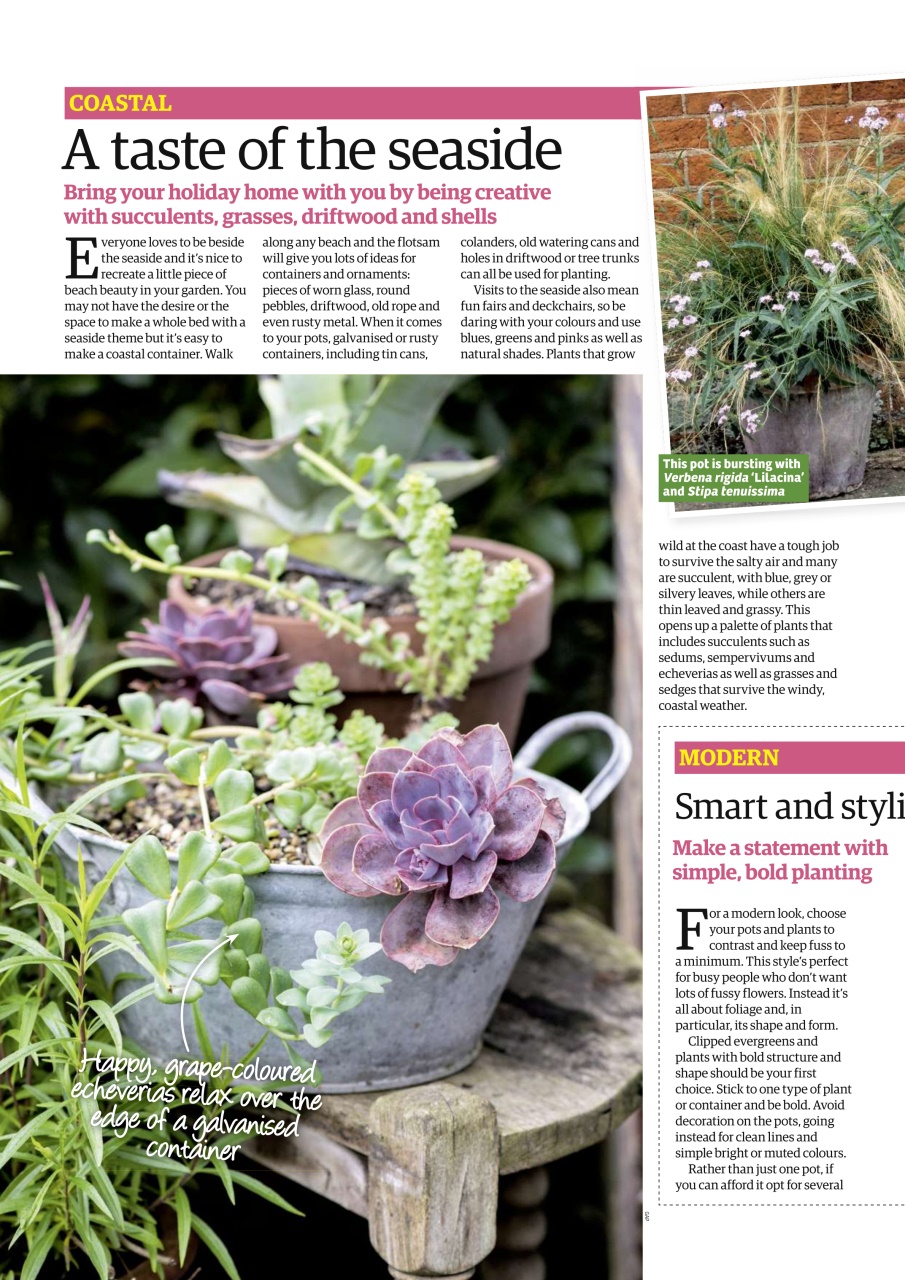 Garden News Preview Pages