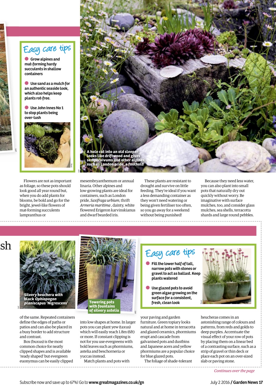 Garden News Preview Pages