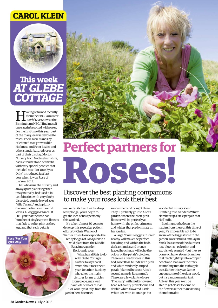 Garden News Preview Pages