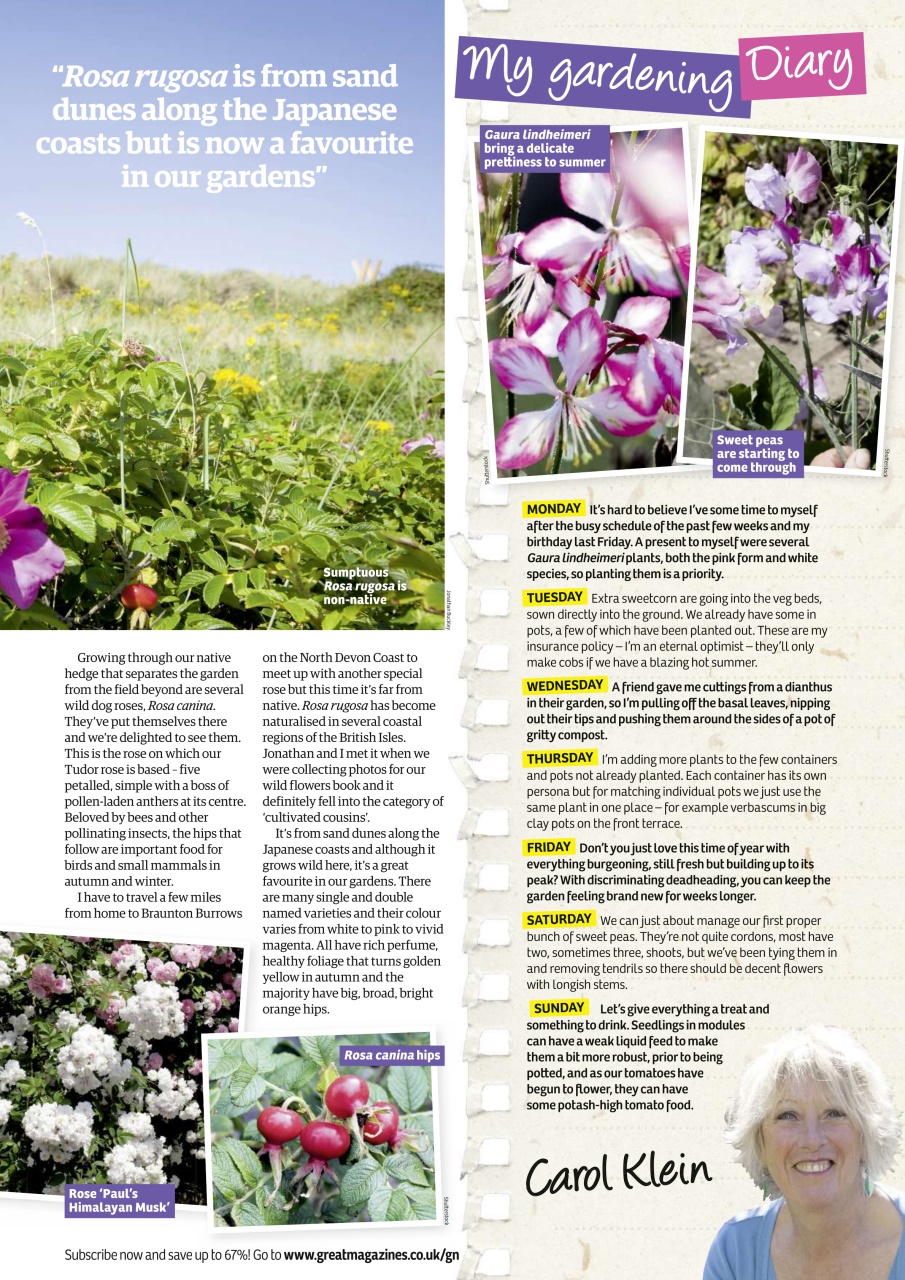 Garden News Preview Pages