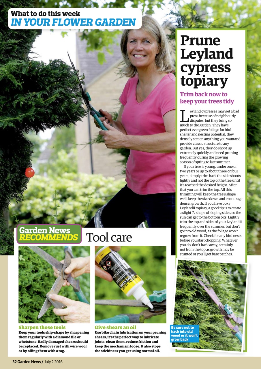 Garden News Preview Pages