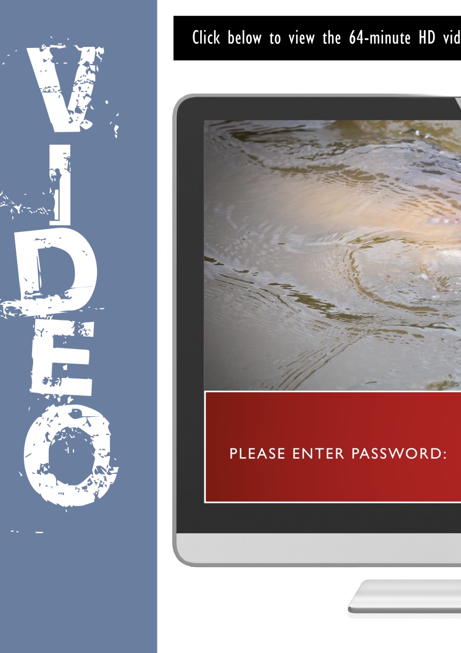 Pole Fishing Plus Preview Pages