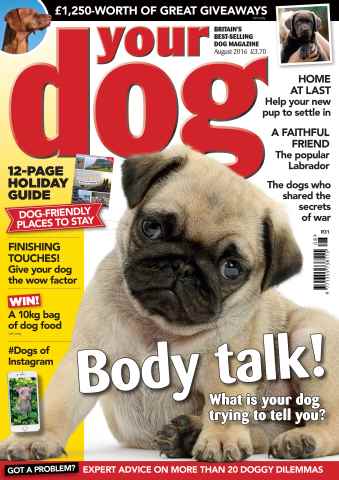 Your Dog issue Your Dog Magazine August 2016