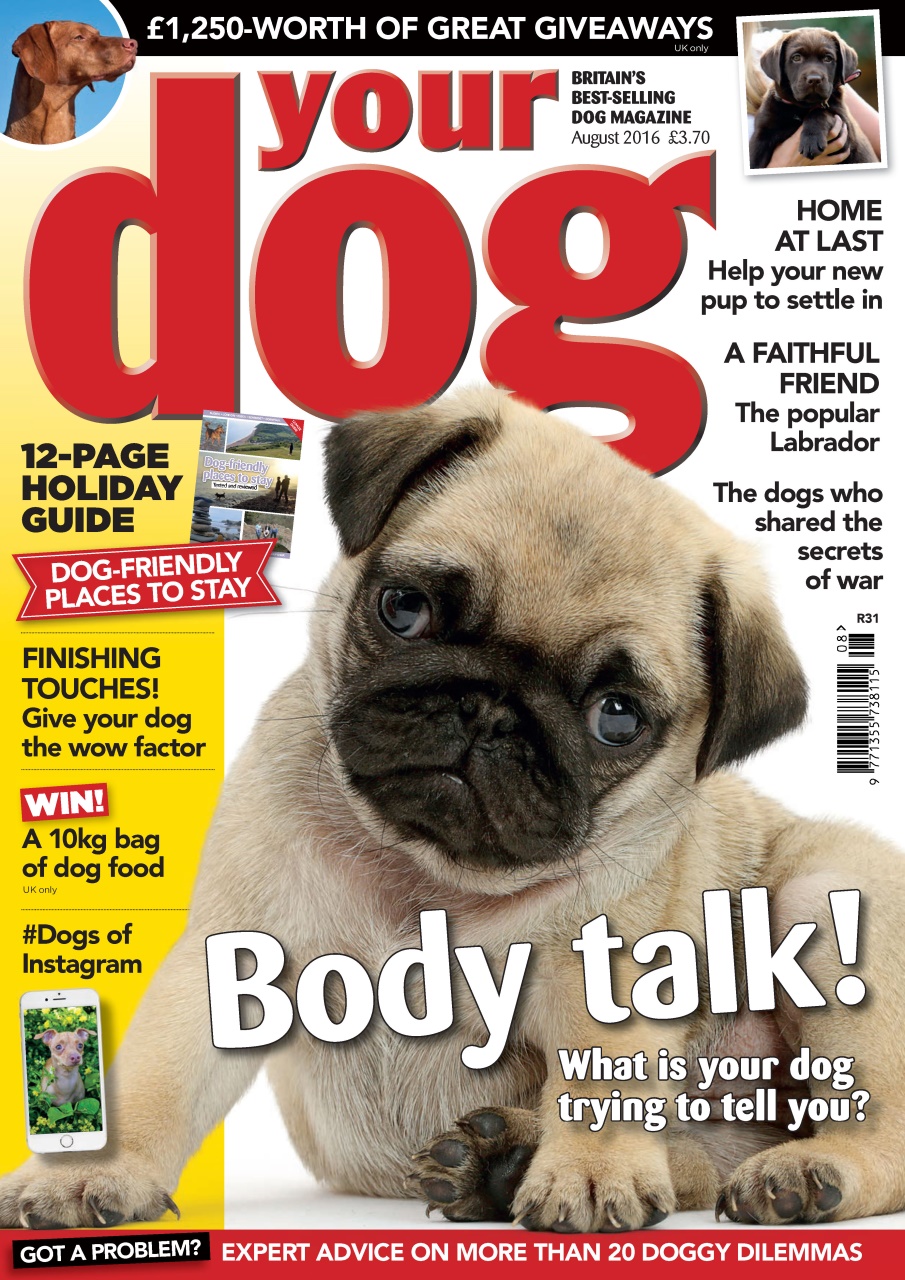Your Dog Preview Pages
