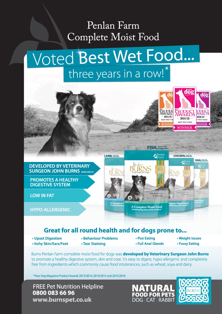 Your Dog Preview Pages