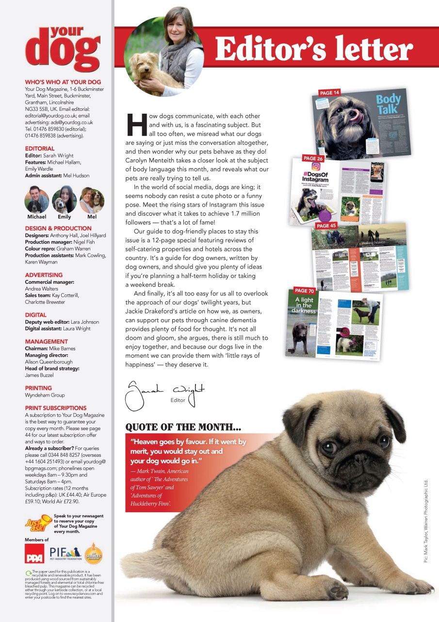 Your Dog Preview Pages