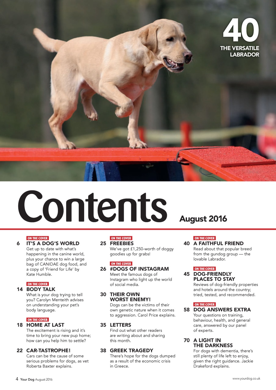 Your Dog Preview Pages