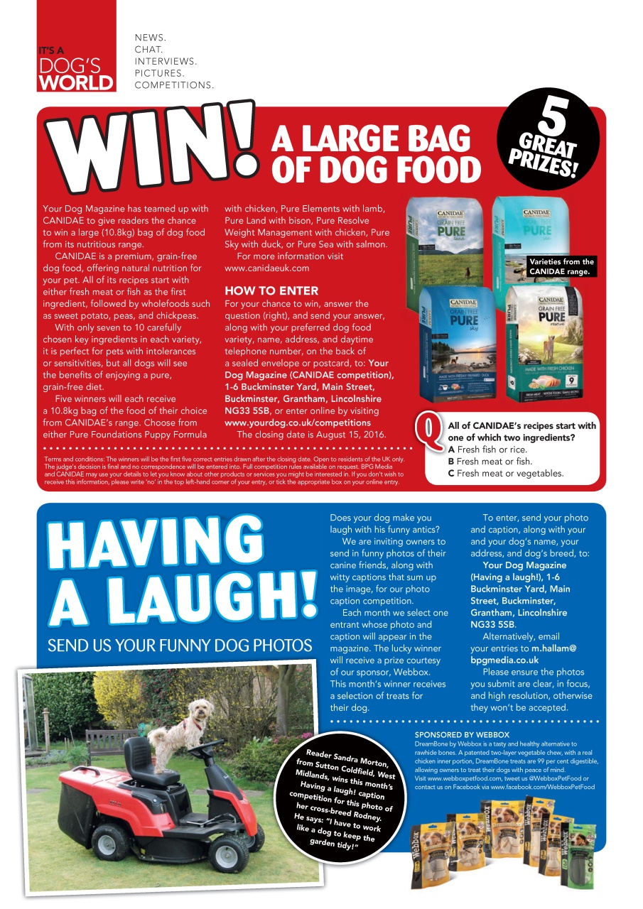 Your Dog Preview Pages