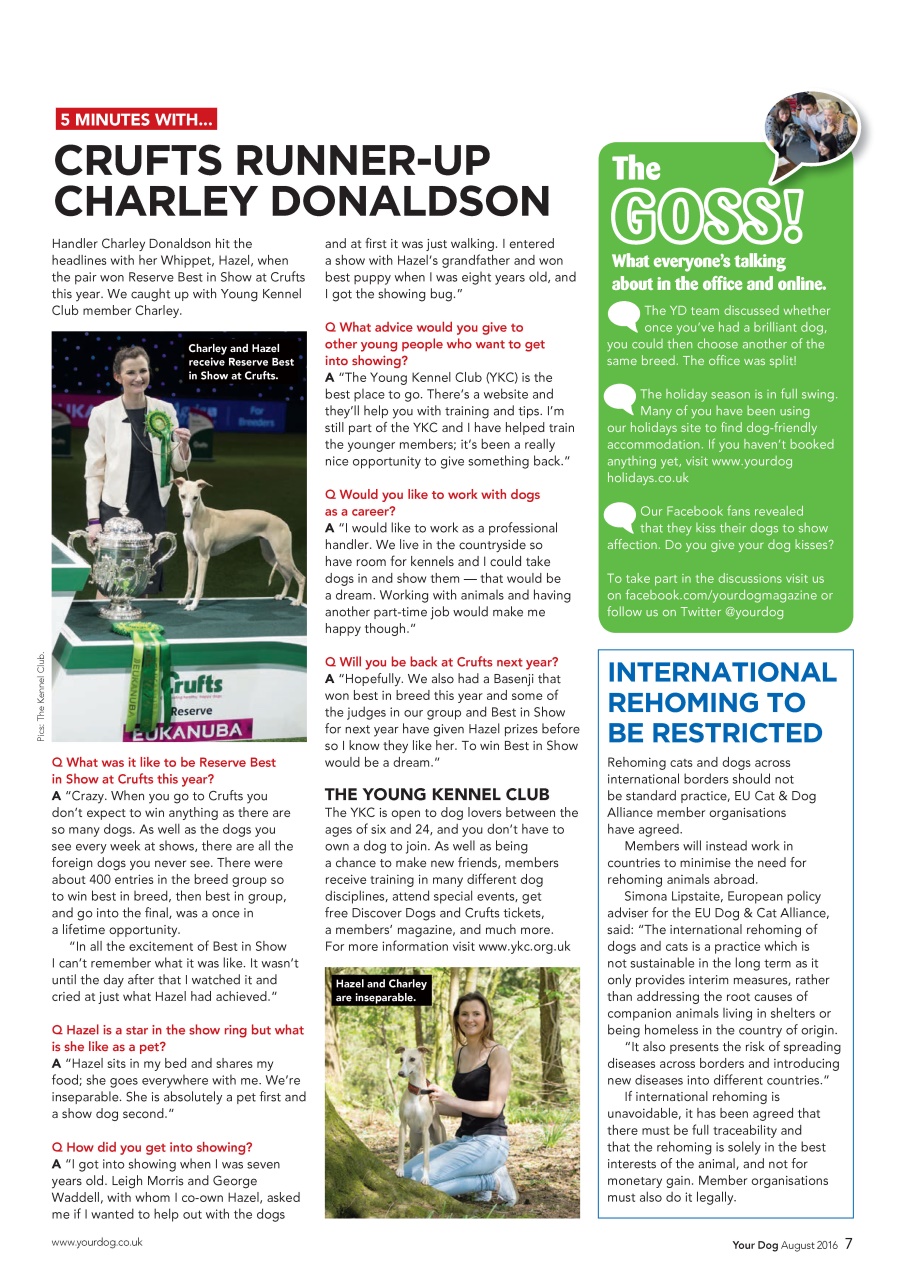 Your Dog Preview Pages