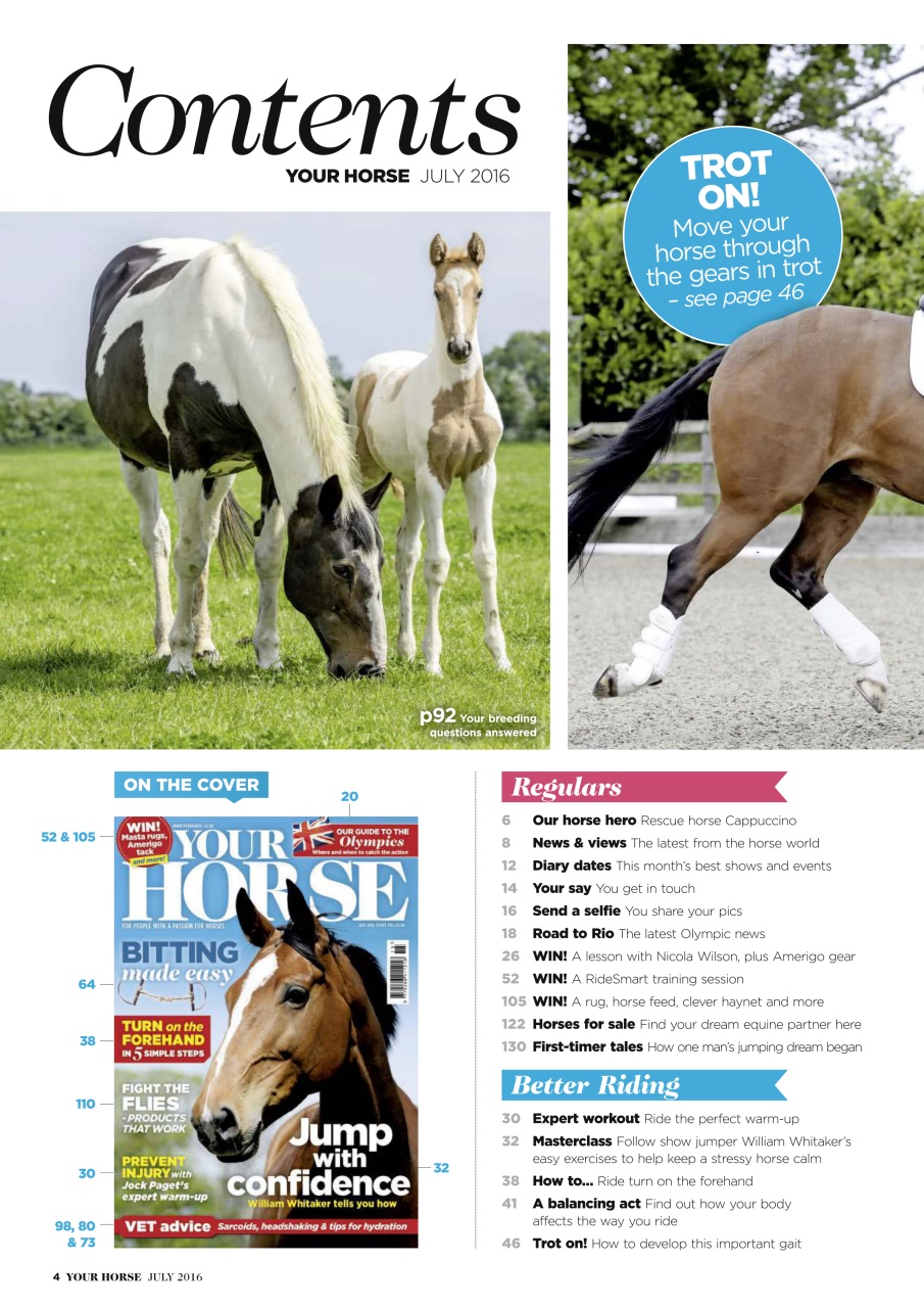 Your Horse Preview Pages