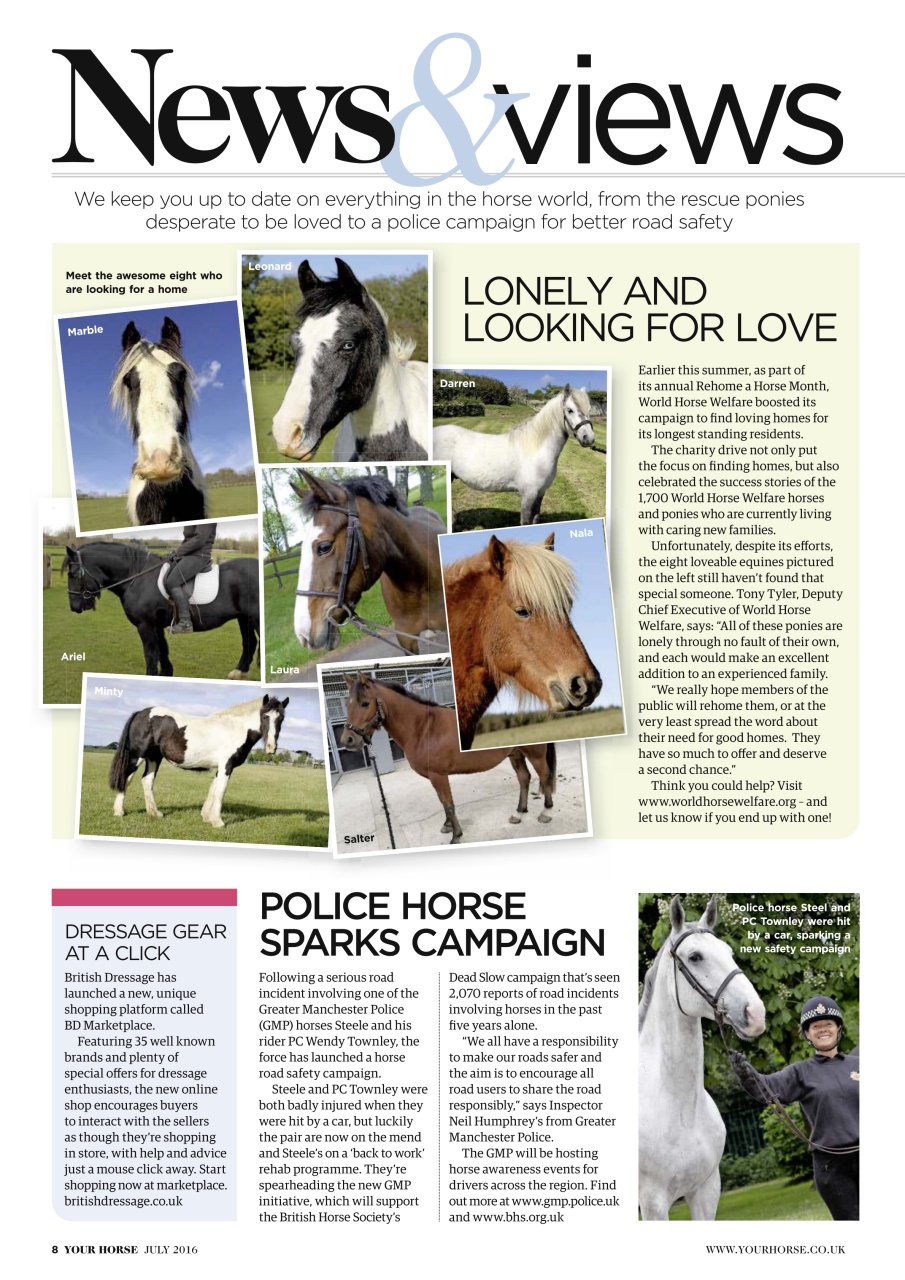 Your Horse Preview Pages