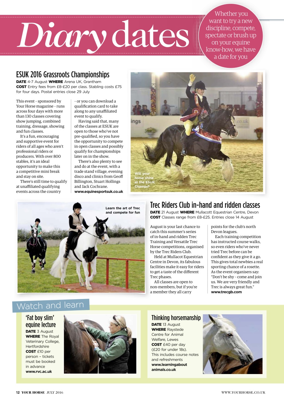 Your Horse Preview Pages