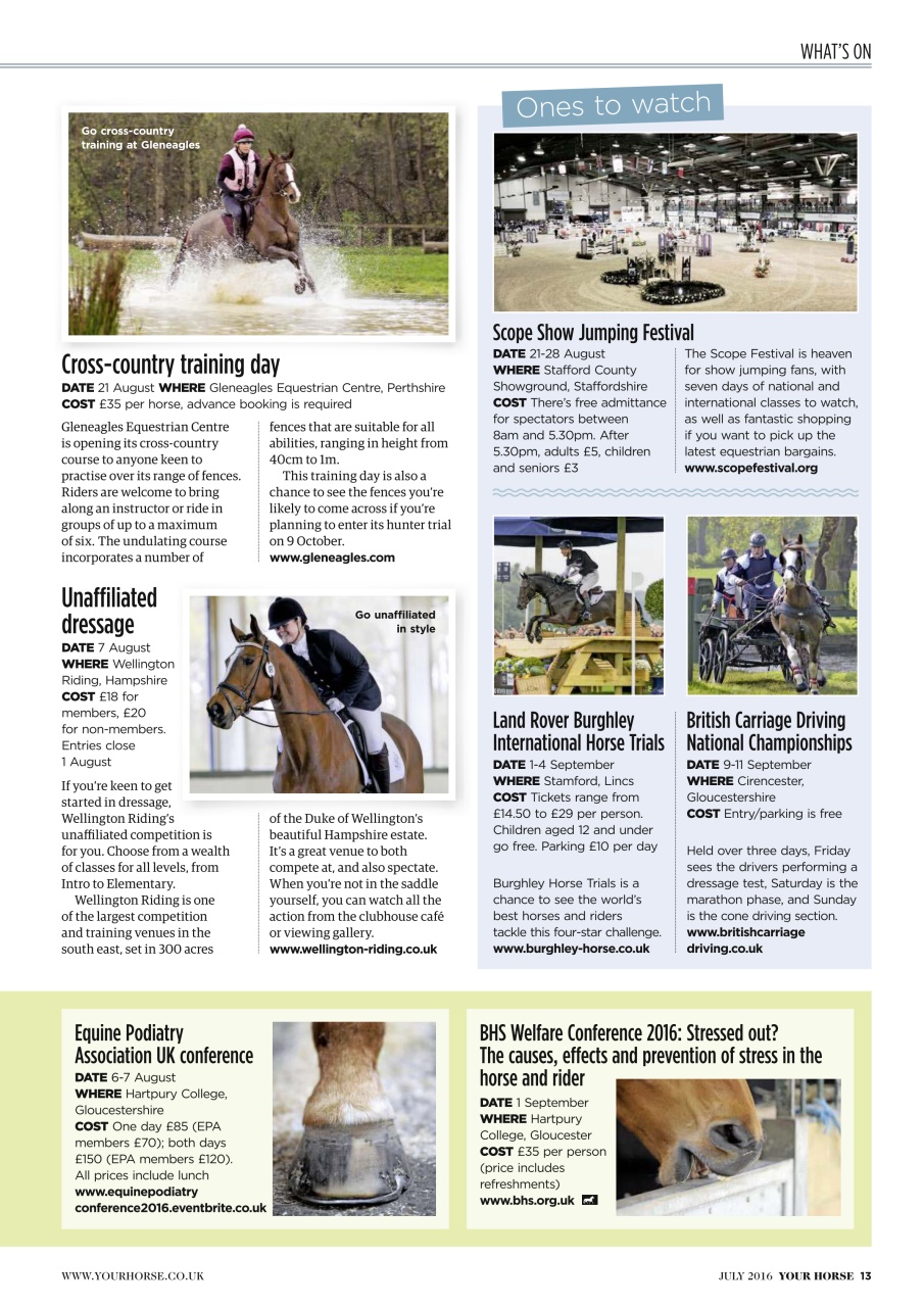 Your Horse Preview Pages