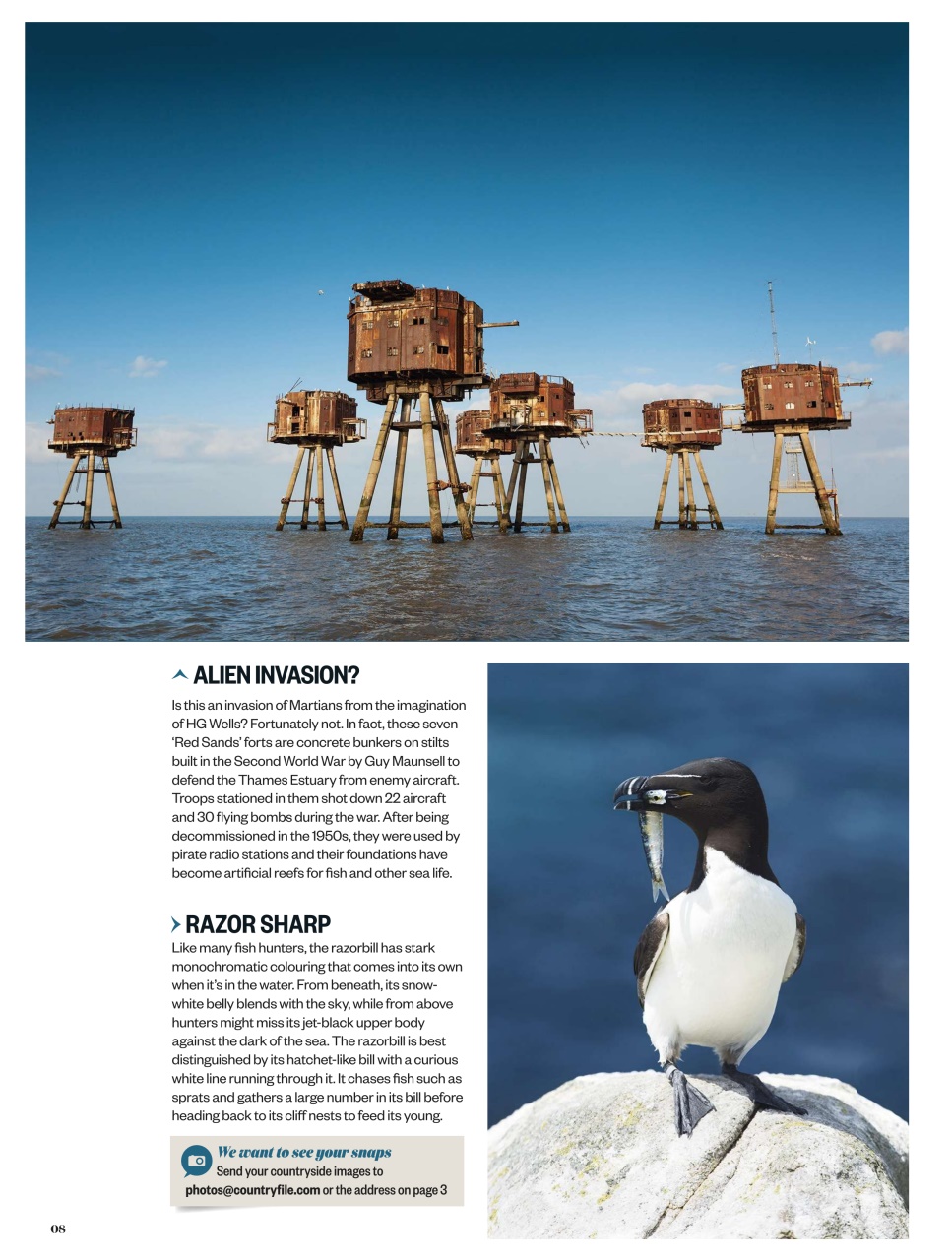 BBC Countryfile Magazine Preview Pages