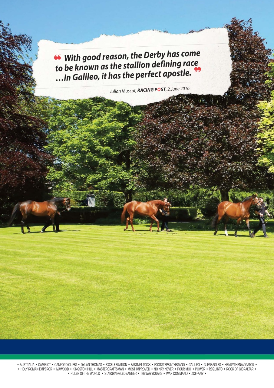 The Owner Breeder Preview Pages