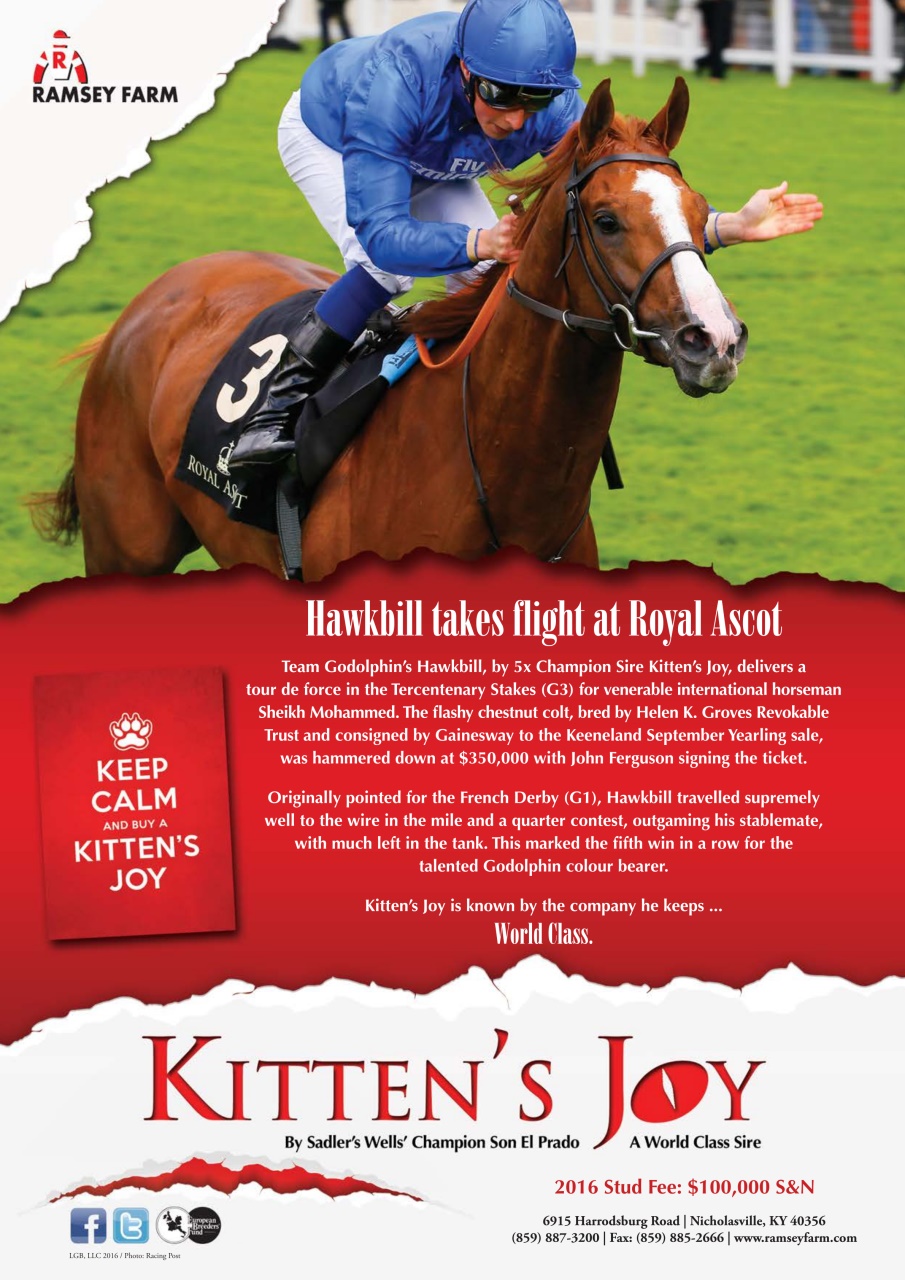 The Owner Breeder Preview Pages