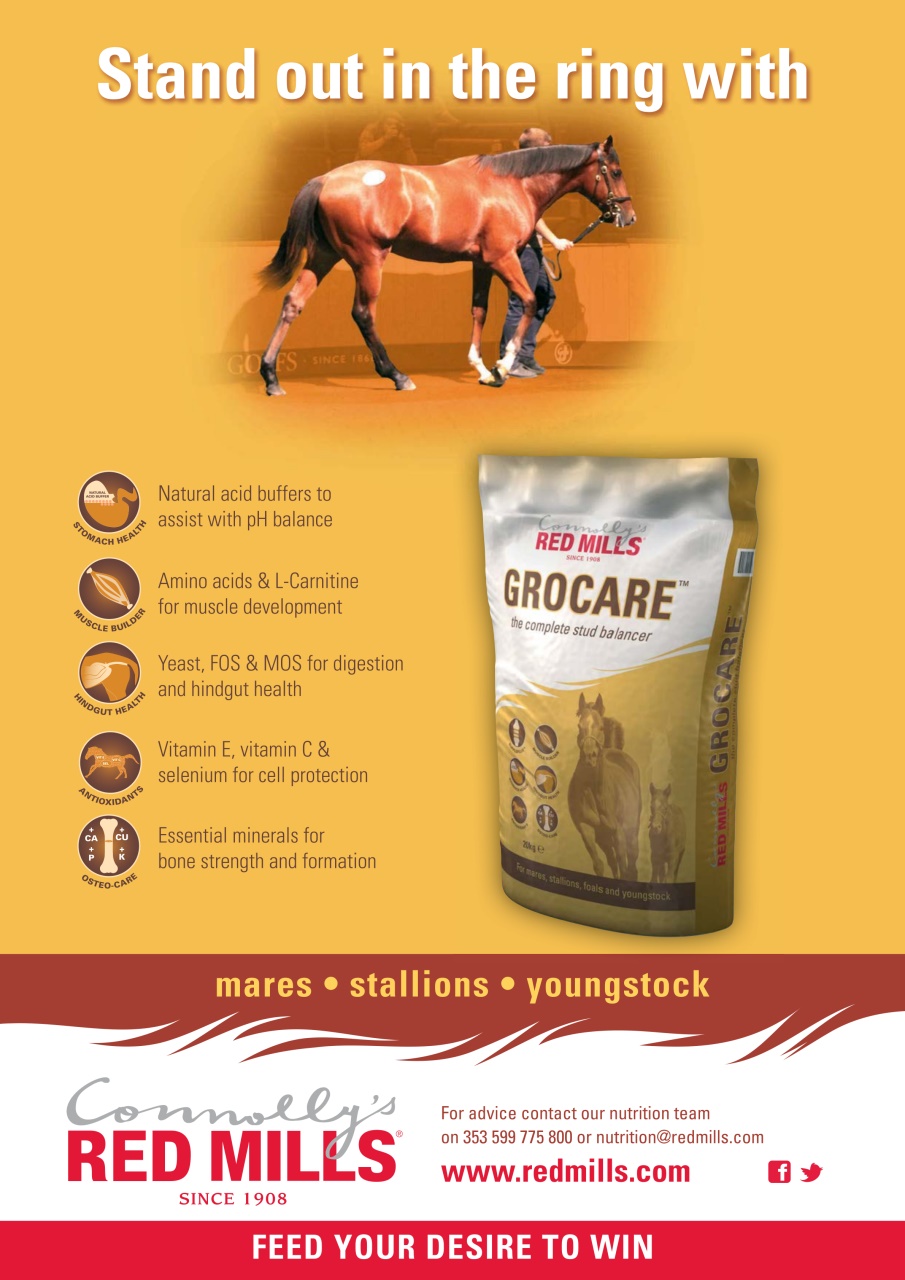 The Owner Breeder Preview Pages