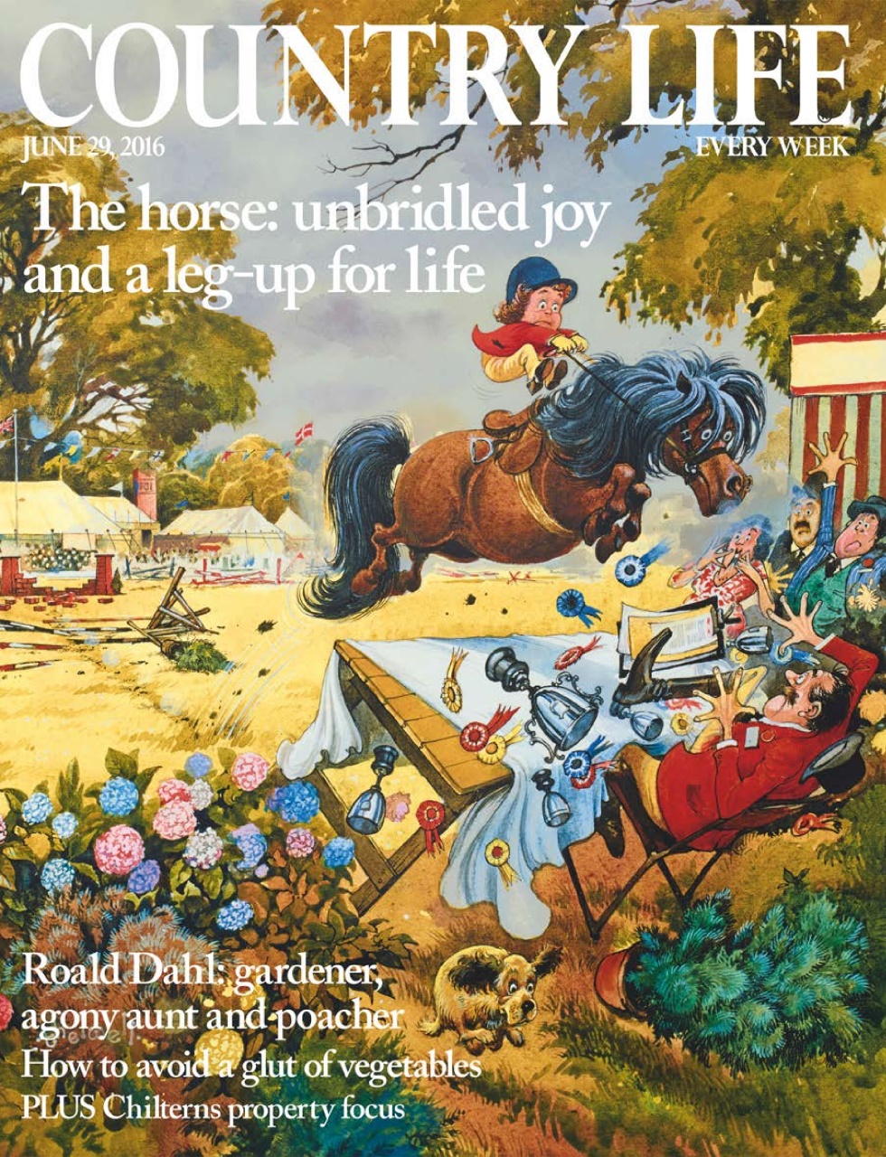 Country Life Preview Pages