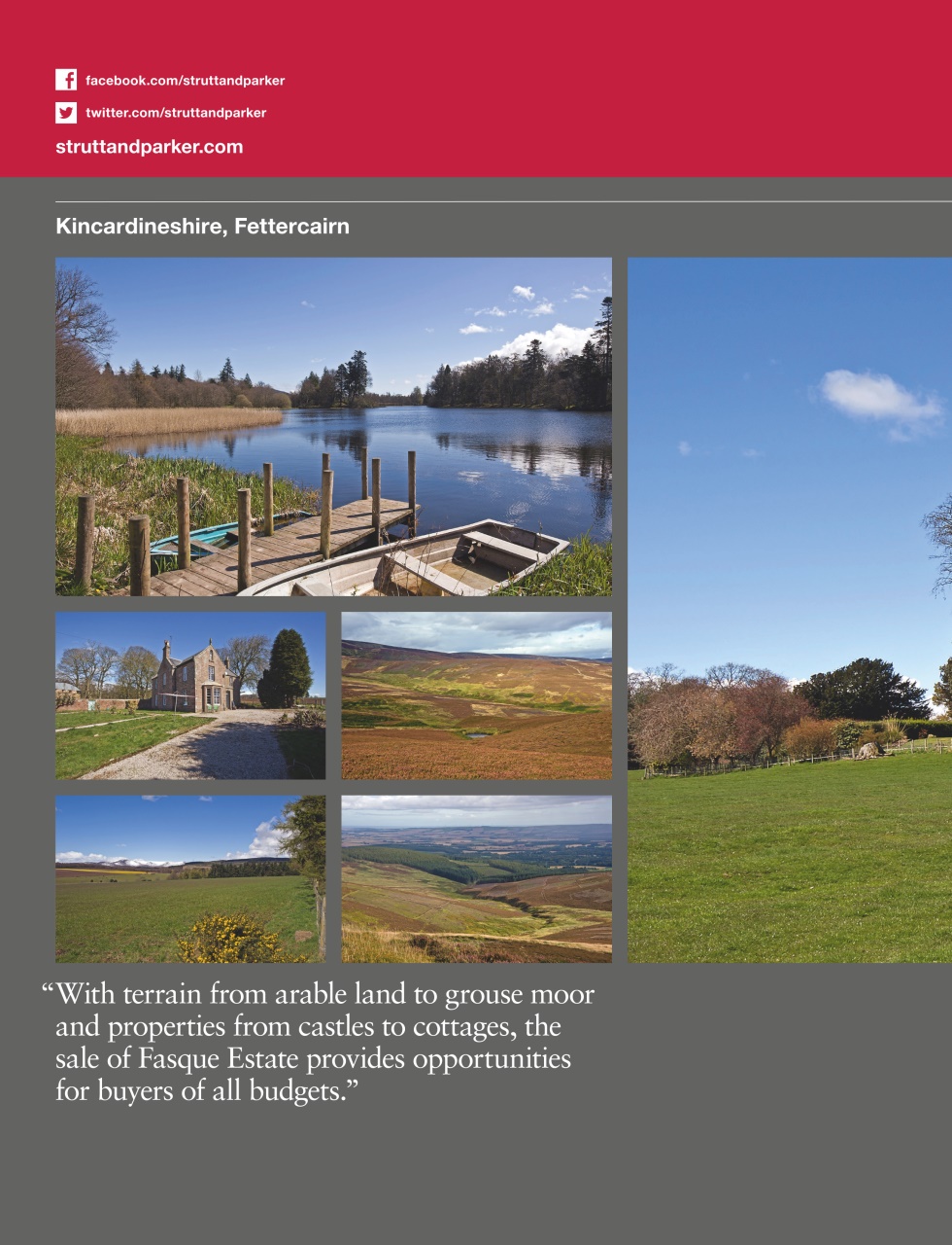 Country Life Preview Pages