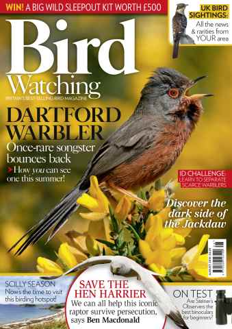 Bird Watching issue August 2016