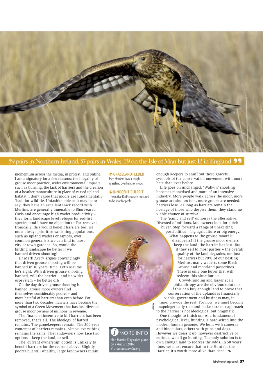 Bird Watching Preview Pages