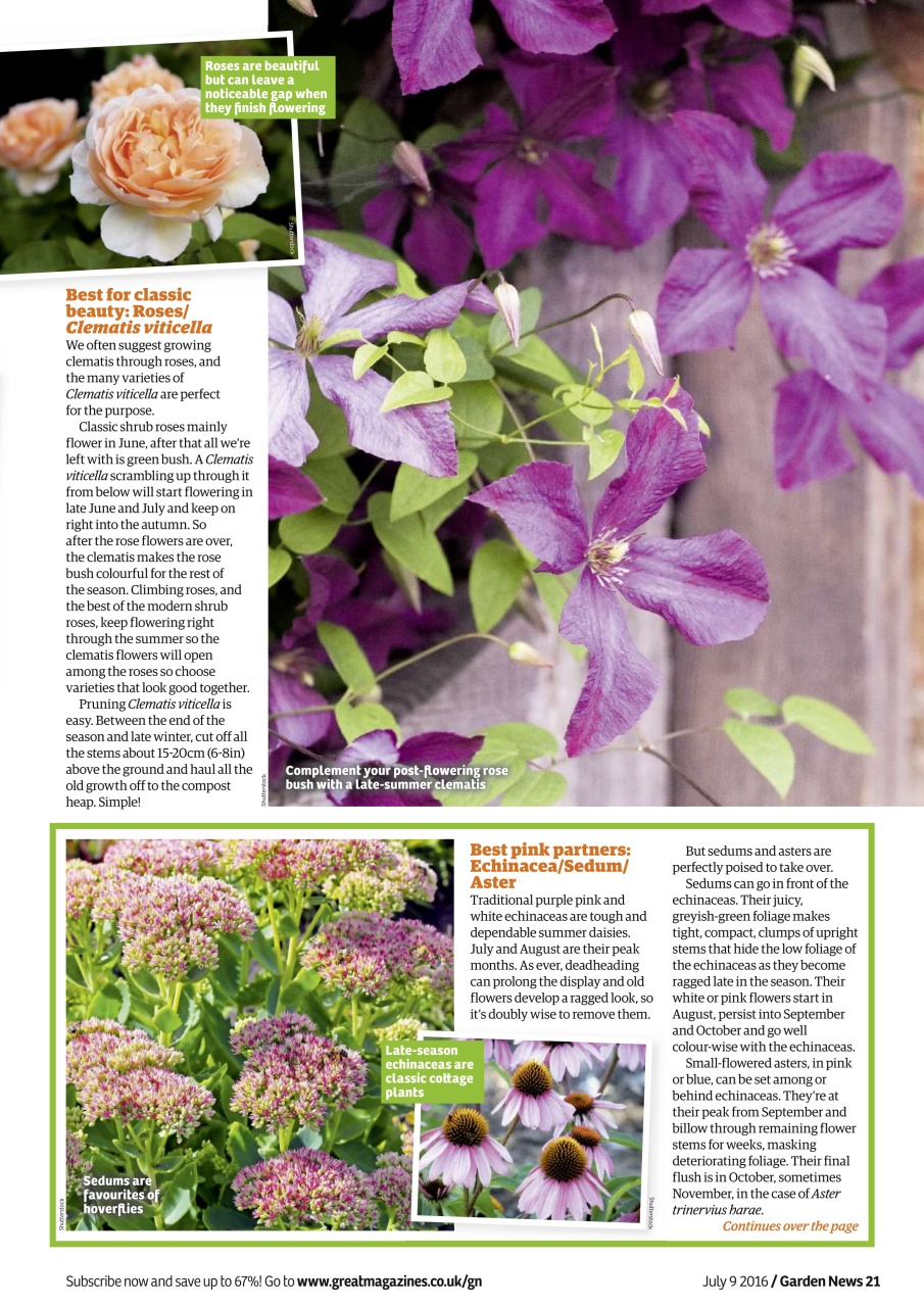 Garden News Preview Pages