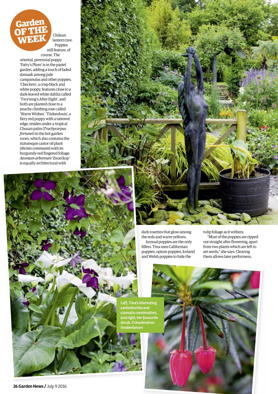 Garden News Preview Pages