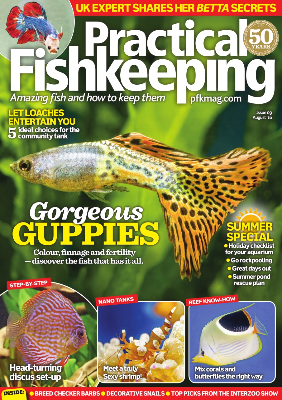 Practical Fishkeeping Preview Pages