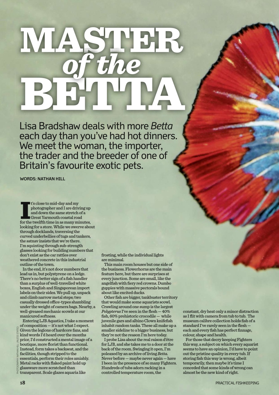 Practical Fishkeeping Preview Pages