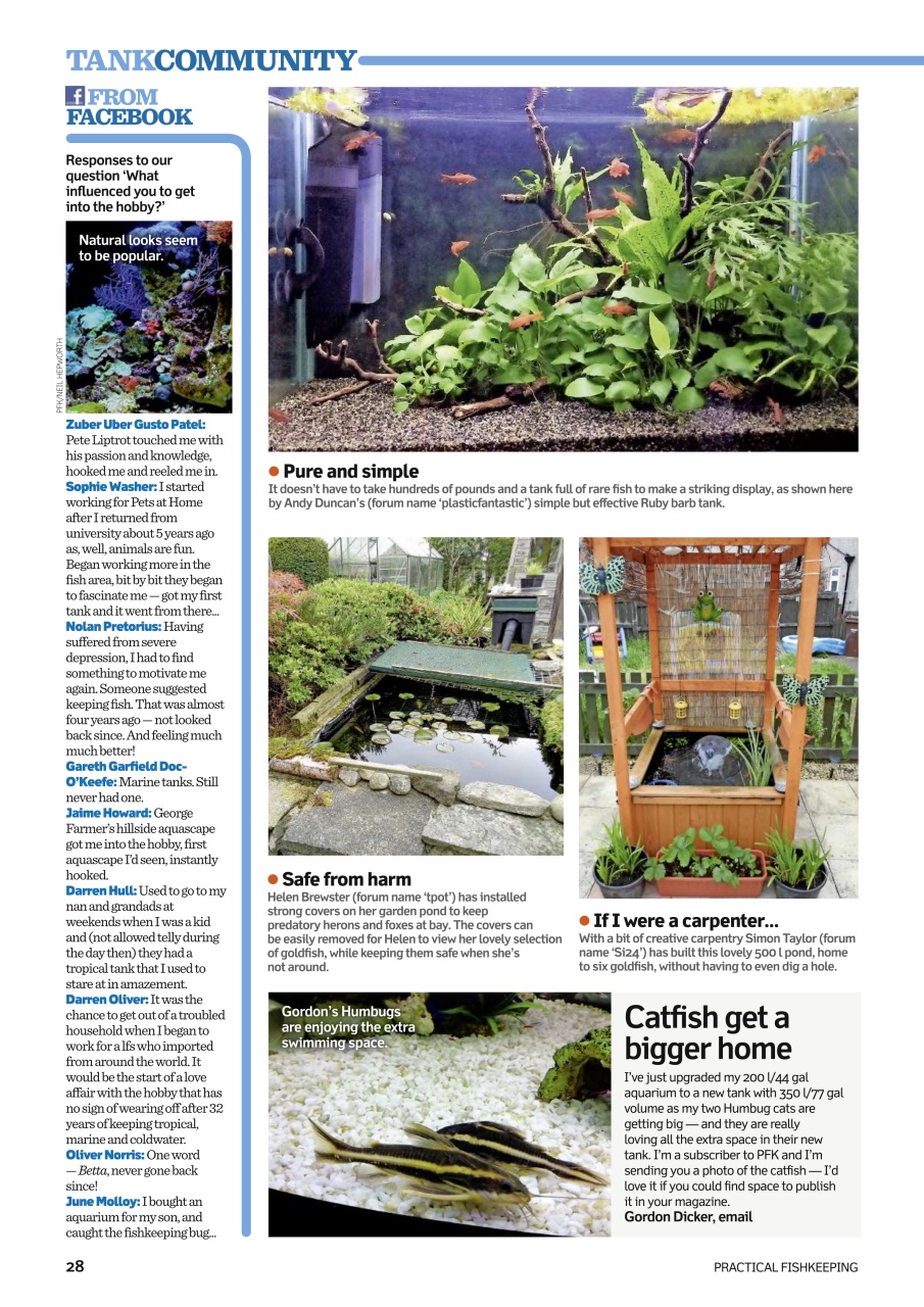 Practical Fishkeeping Preview Pages