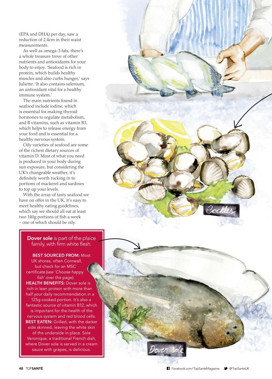 Top Sante Preview Pages