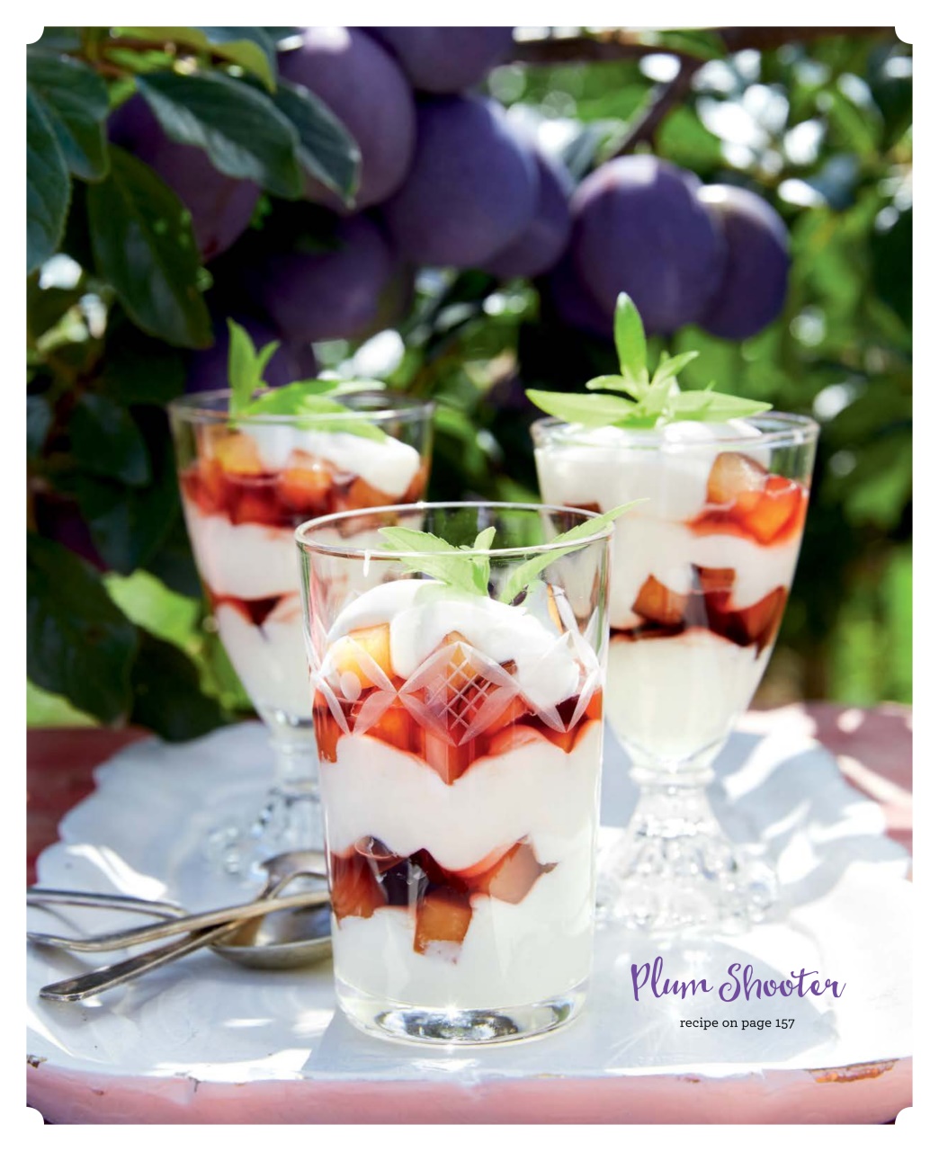 LCBO Food & Drink Preview Pages