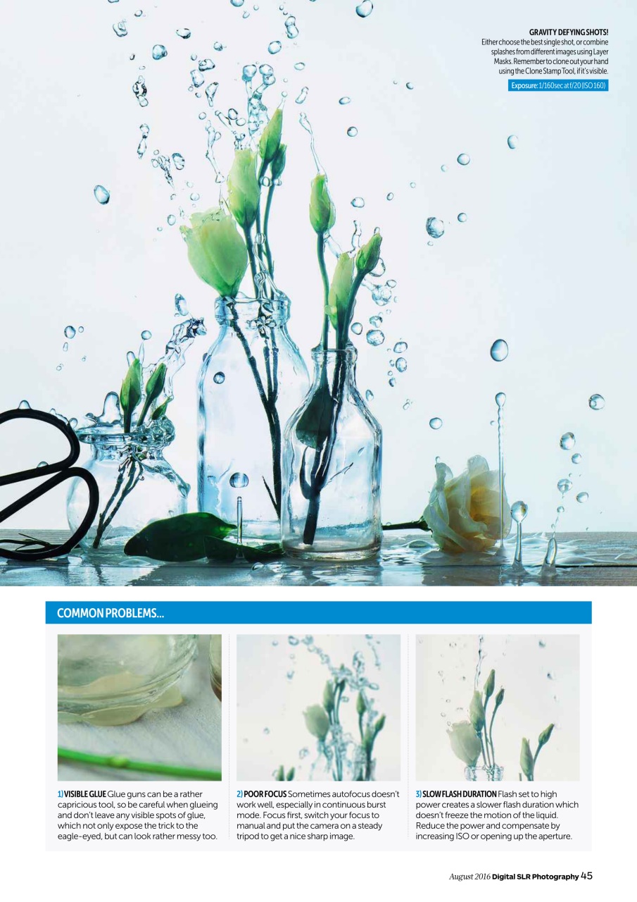 Digital SLR Photography Preview Pages