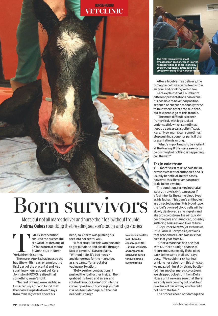 Horse & Hound Preview Pages