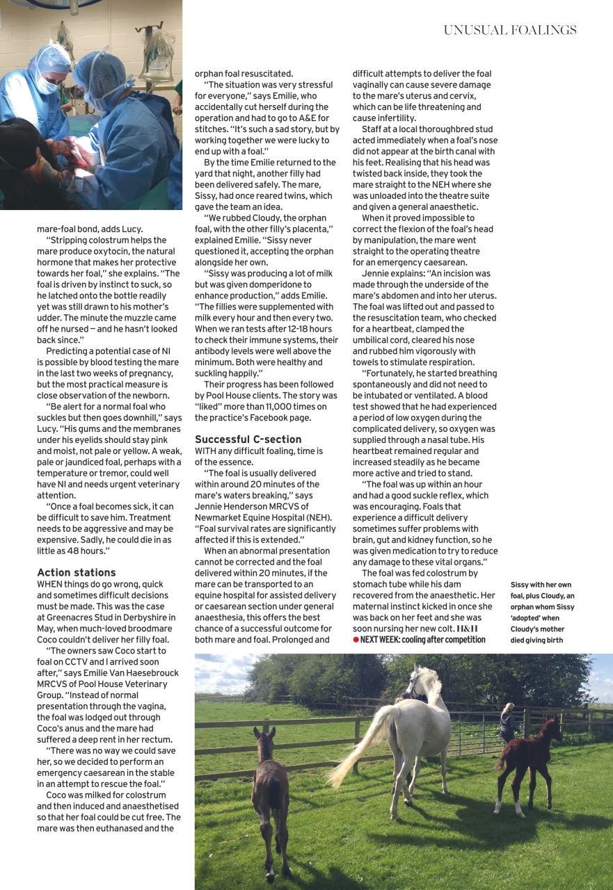 Horse & Hound Preview Pages