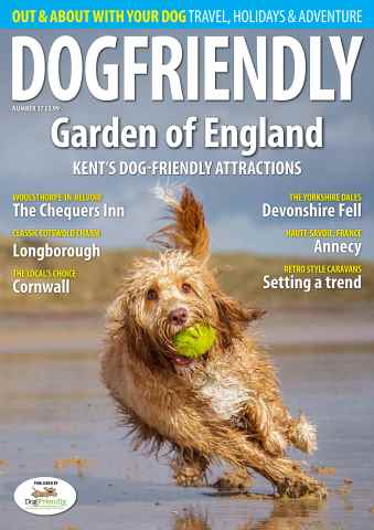Dog Friendly issue Jul-16