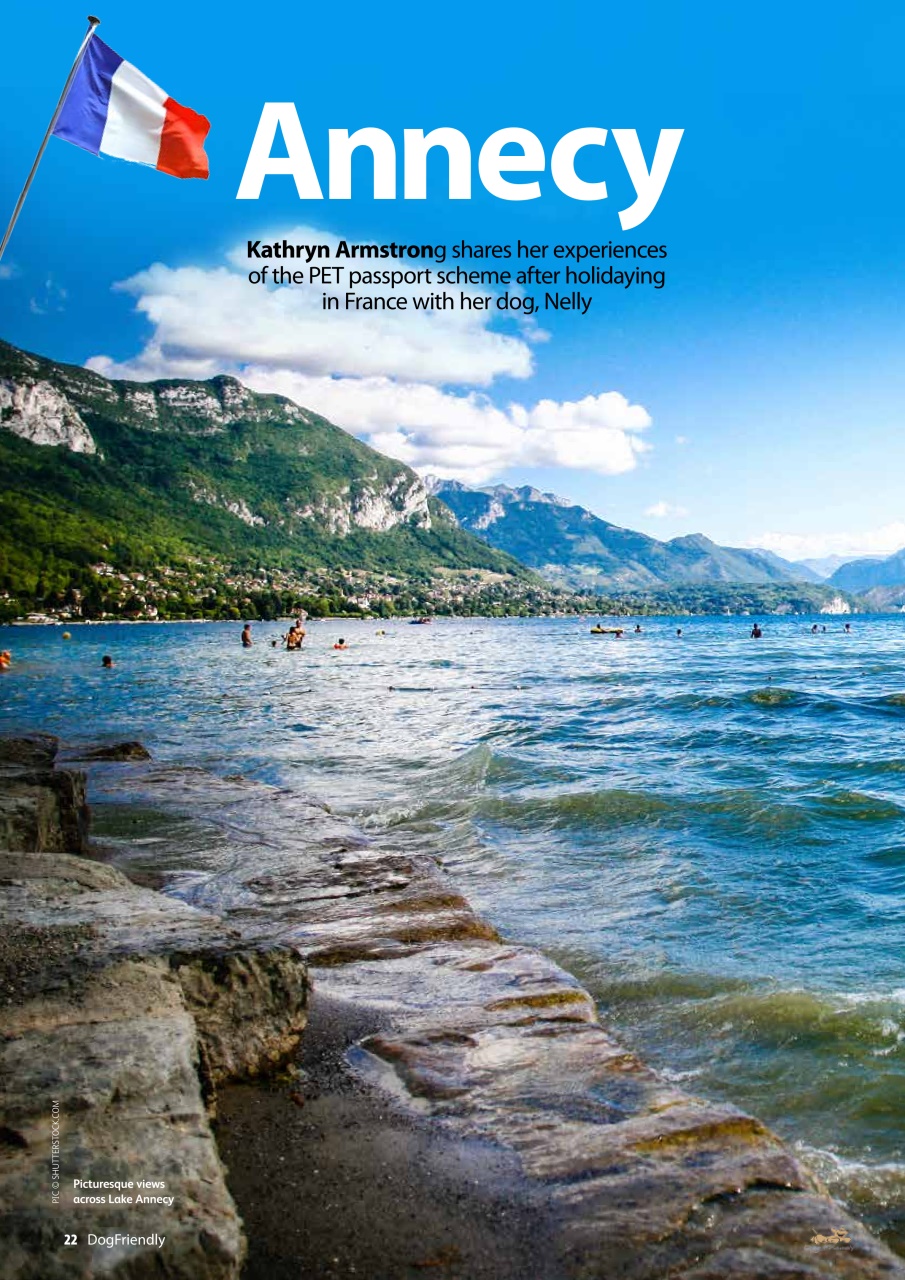 Dog Friendly Preview Pages