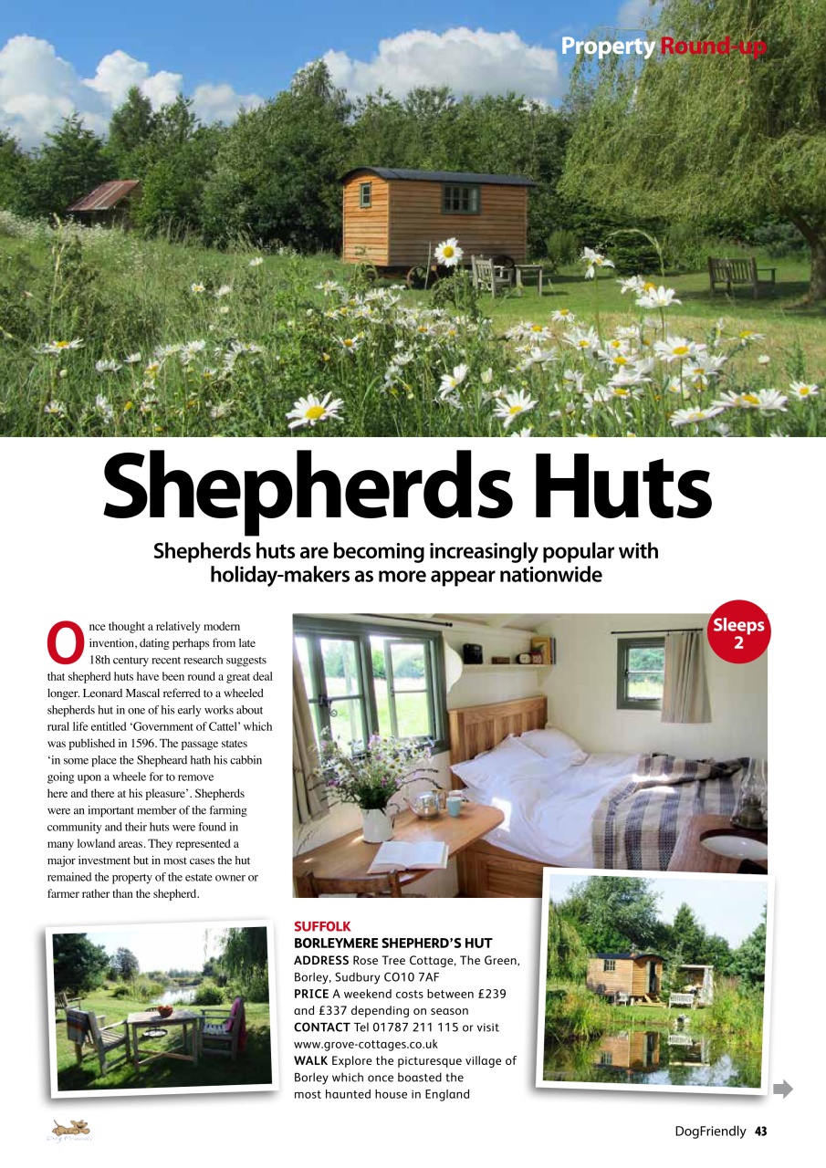 Dog Friendly Preview Pages