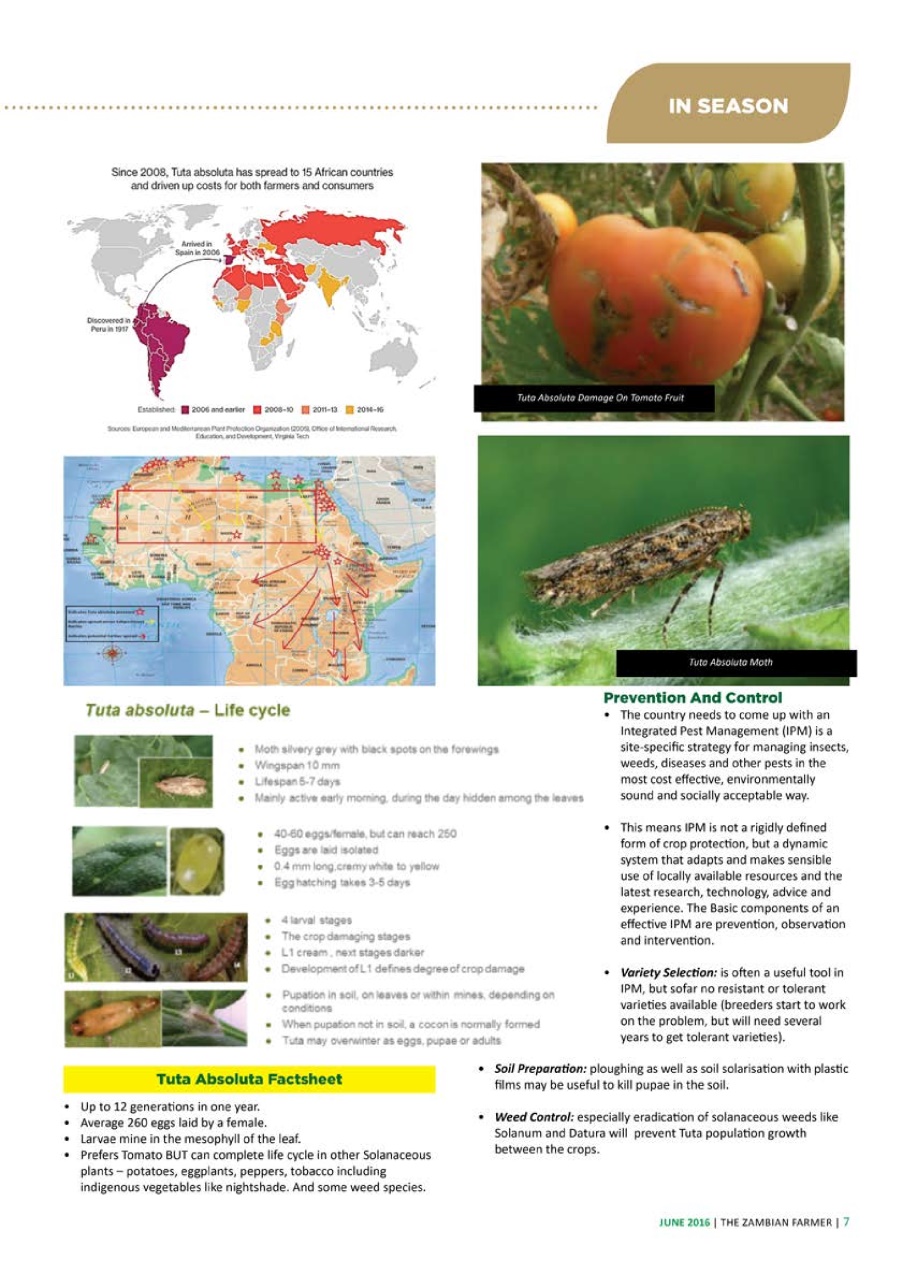 Zambian Farmer Preview Pages