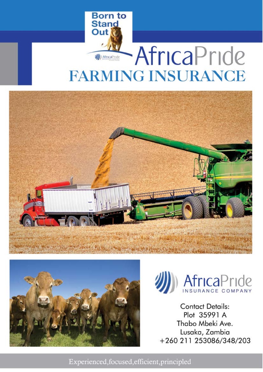 Zambian Farmer Preview Pages