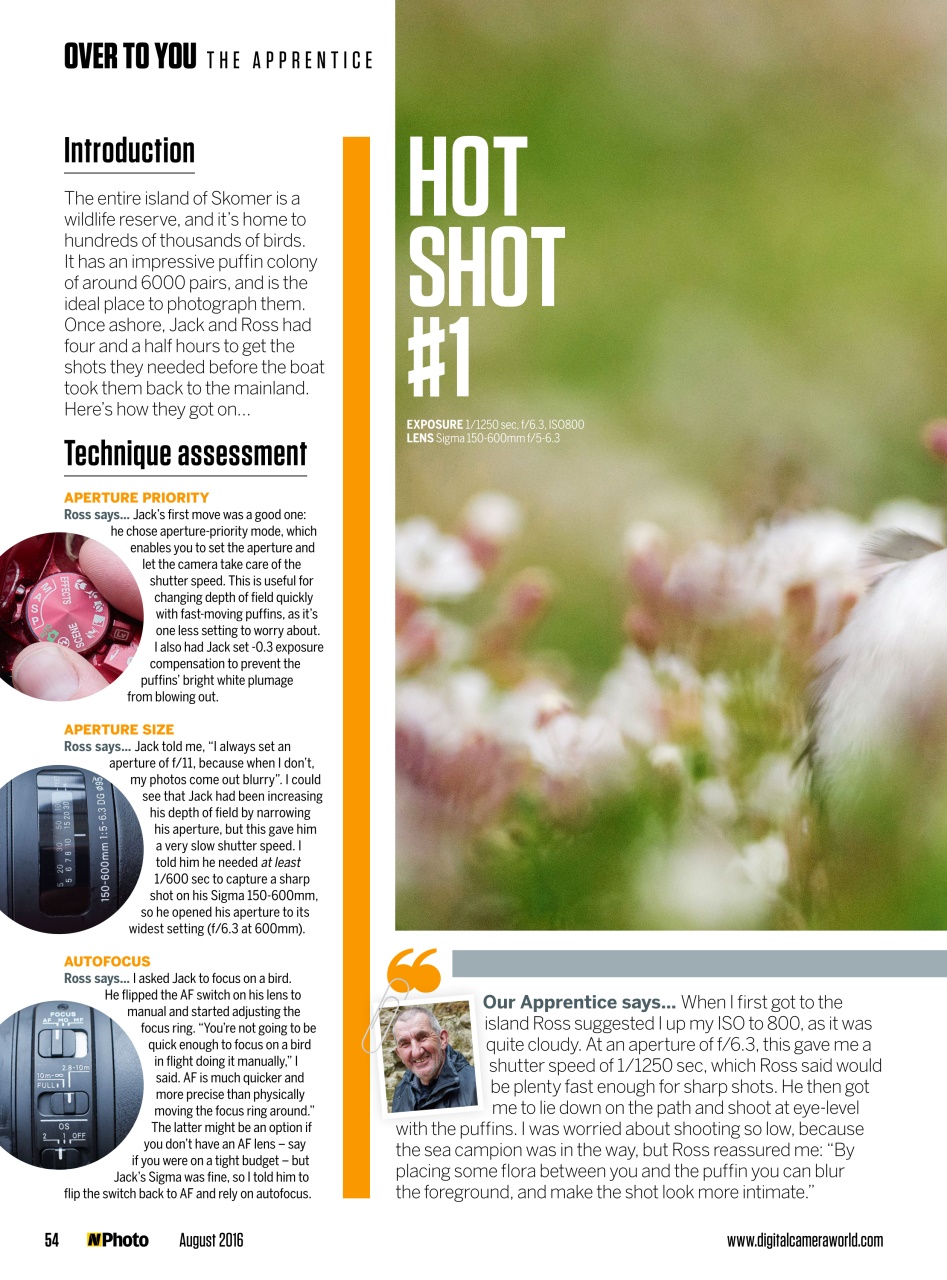 N-Photo Preview Pages