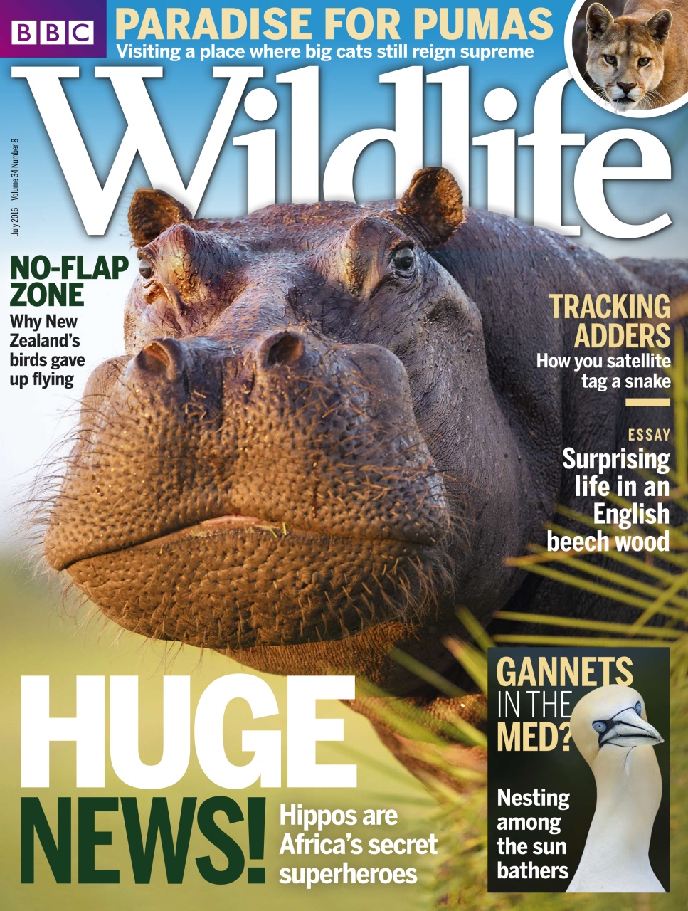 BBC Wildlife Magazine Preview Pages