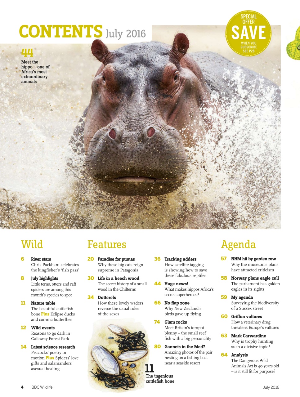 BBC Wildlife Magazine Preview Pages