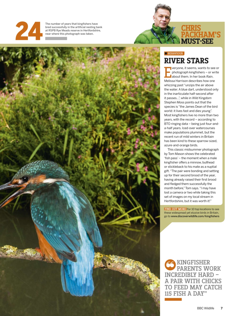 BBC Wildlife Magazine Preview Pages