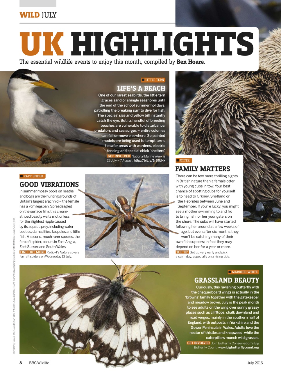 BBC Wildlife Magazine Preview Pages