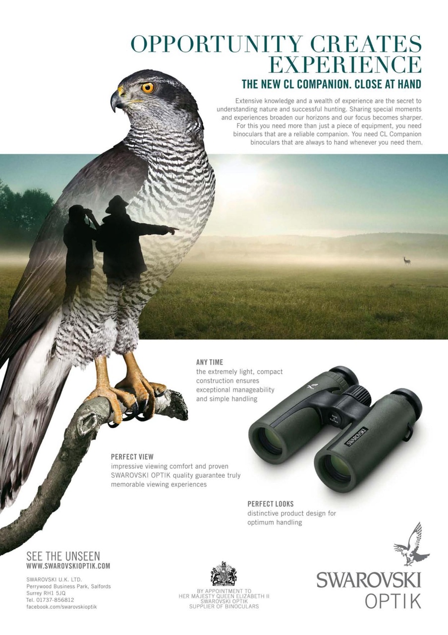 Sporting Rifle Preview Pages