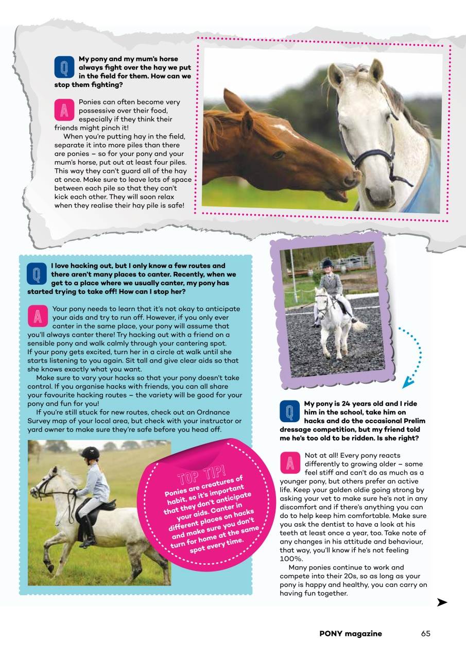 Pony Magazine Preview Pages