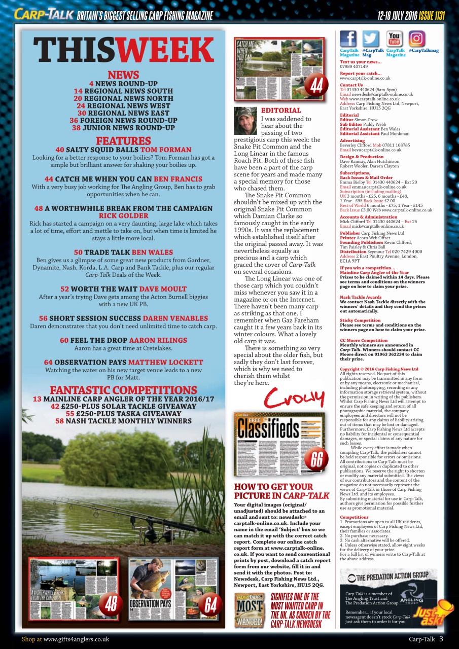 Carp-Talk Preview Pages